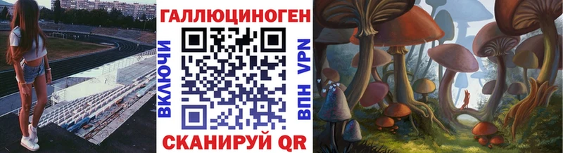Псилоцибиновые грибы мицелий  shop телеграм  Ленинградская 